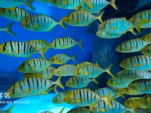 Lanzhou Polar Ocean World