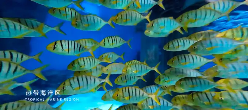 鄰近蘭州極地海洋世界的酒店