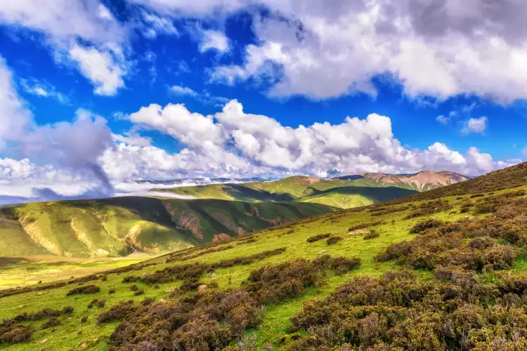 貢覺縣客運站附近的飯店