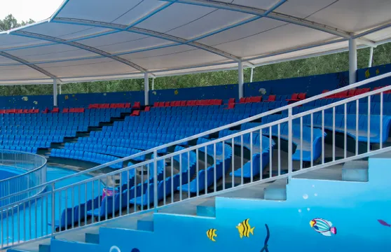 滑縣森林動物園門票長者