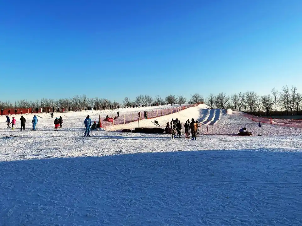 3_The Blues Manor Ski Resort