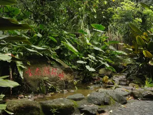 Xinglong Tropical Botanical Garden