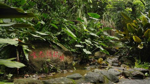 興隆熱帶植物園