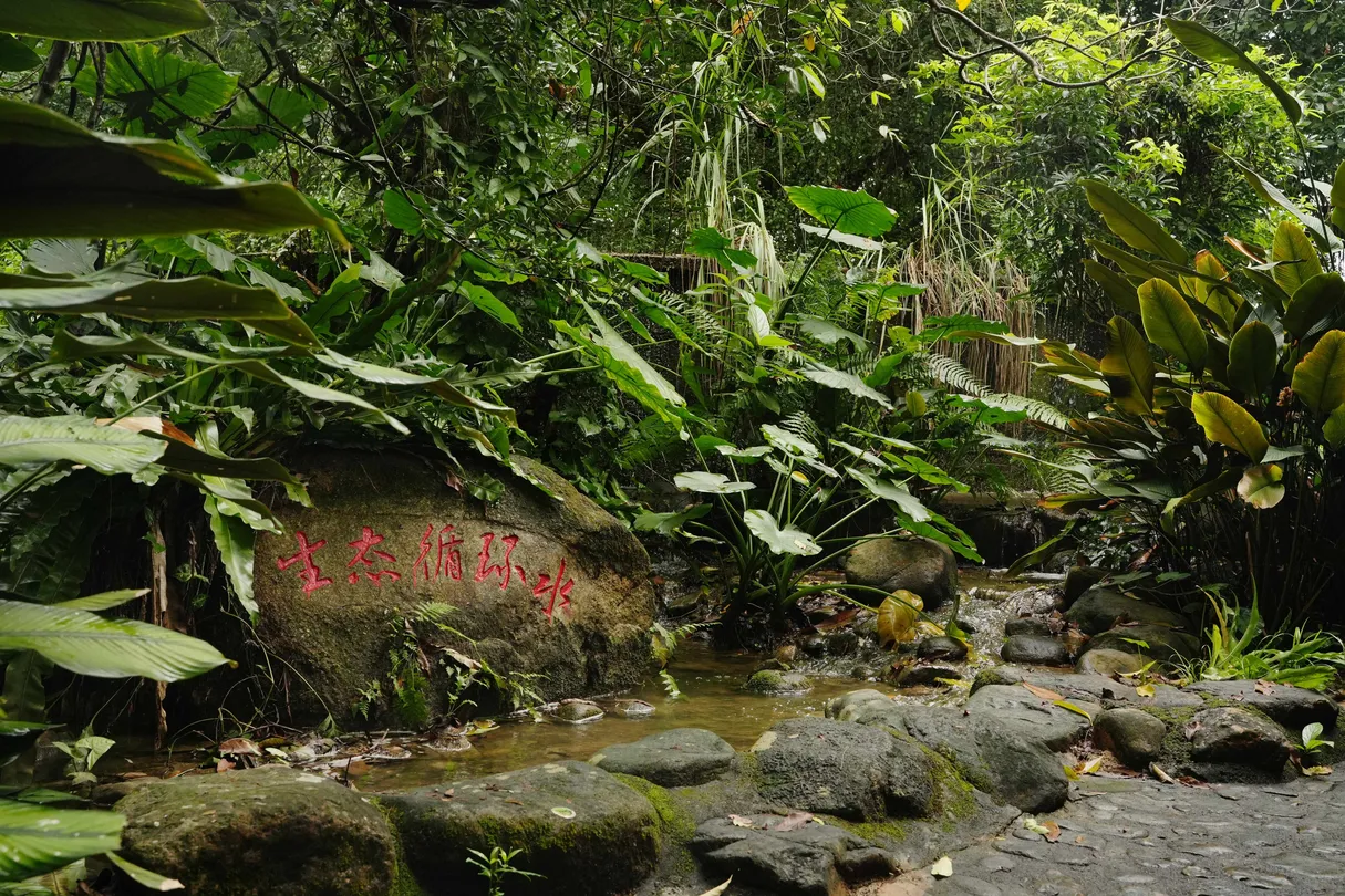 2_สวนพฤกษศาสตร์เขตร้อนซิงหลง