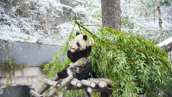 Bamboo Museum Garoen