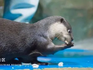 Lanzhou Polar Ocean World