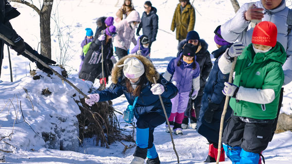 Changbai Mountain Wilderness Campsite