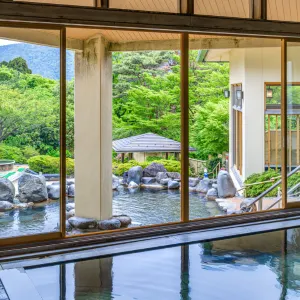 箱根小湧園泳池溫泉樂園
