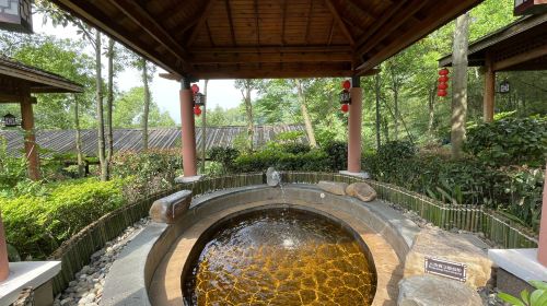 Huitang Huatiancheng Hotspring Holiday Hotel