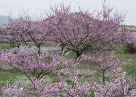 富通山莊