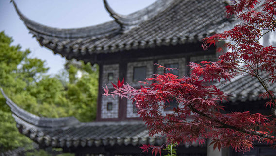 Lingering Garden(Liuyuan Garden)
