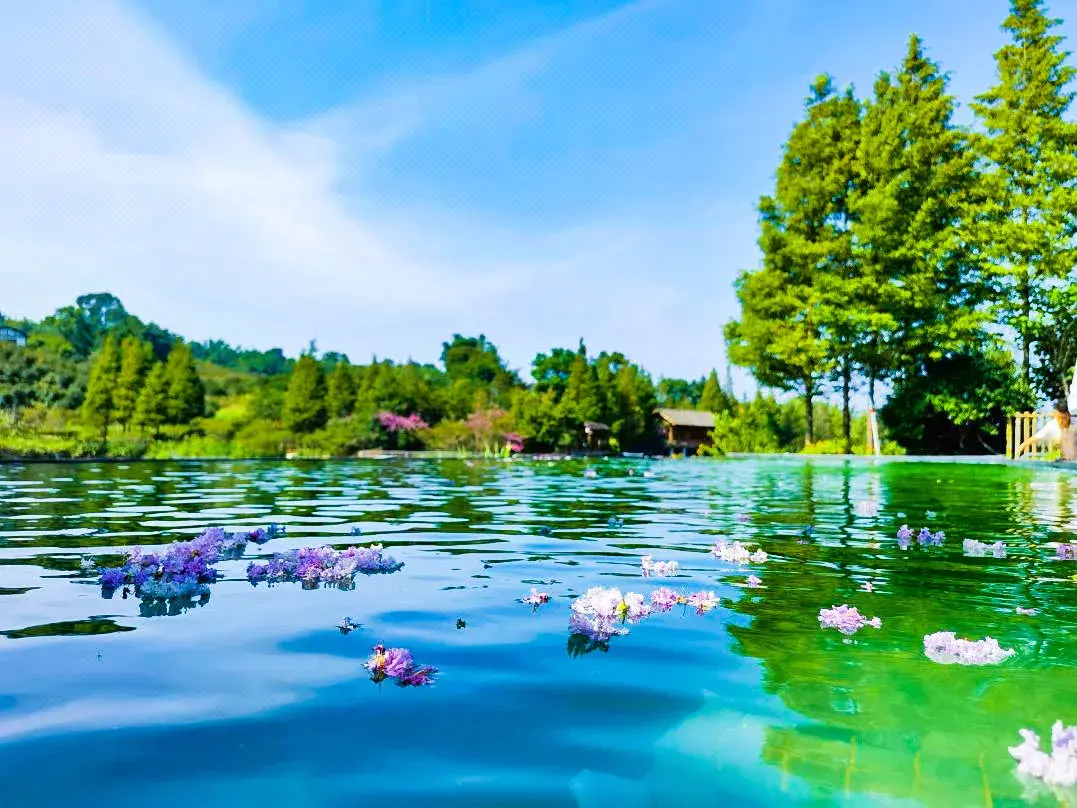 3_赤水凤凰花坞