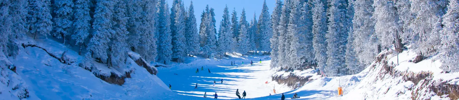 Family-Friendly Attractions