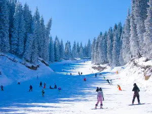絲綢之路山地度假區滑雪場
