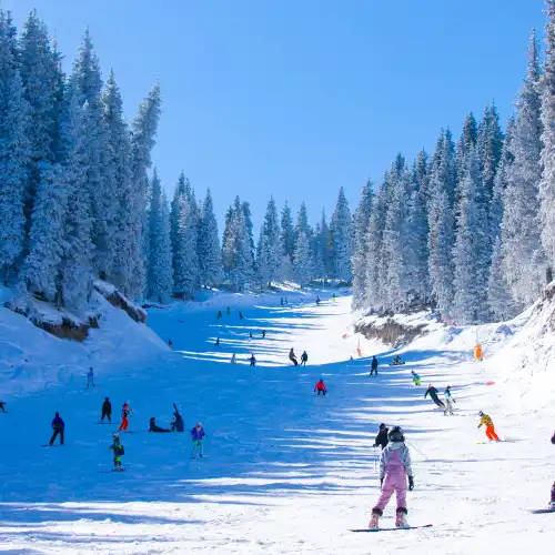Popular Ski Resorts in Urumqi