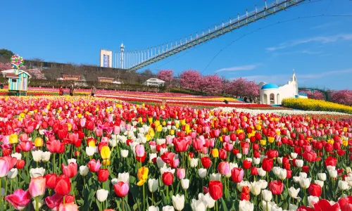 แมนฮัลล่า