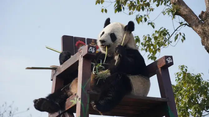 5_杭州野生動物世界
