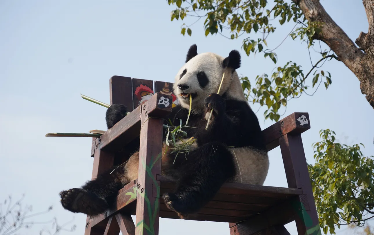 5_杭州野生動物世界