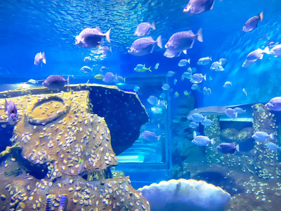 2_Xi'an Ocean Park