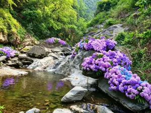 Jinlong Gorge