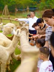 和樂·精靈之丘水豚主題樂園