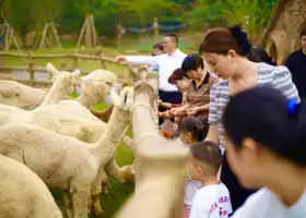 和樂·精靈之丘水豚主題樂園