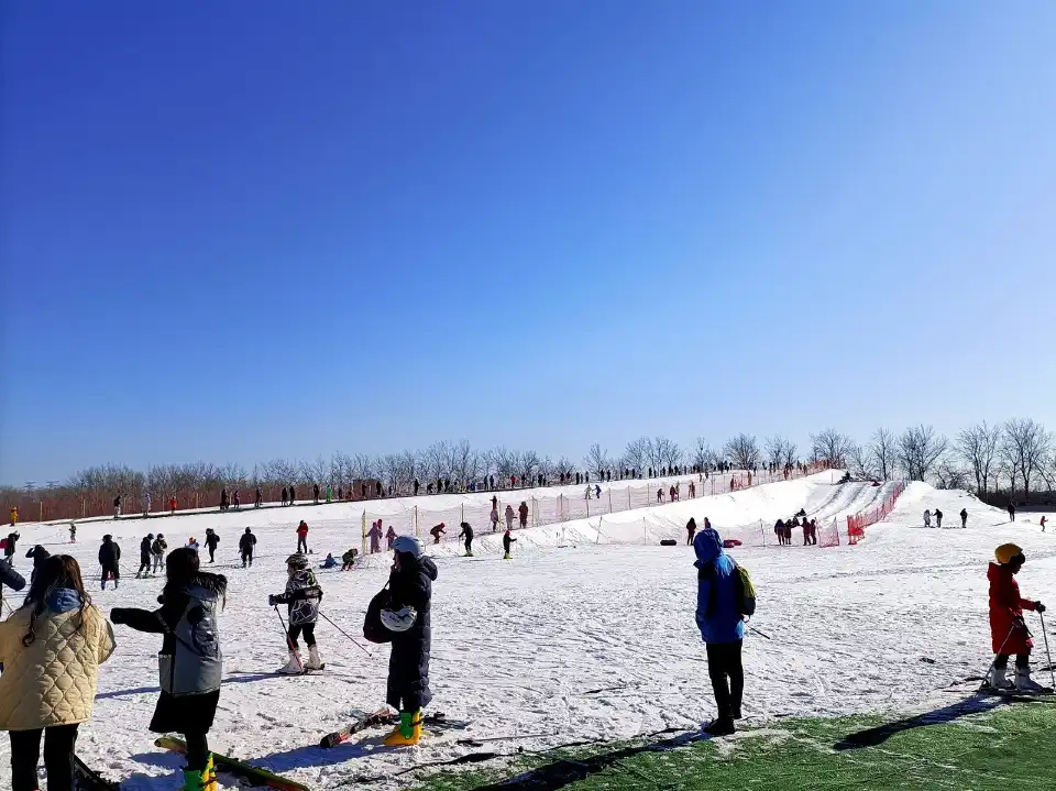 5_The Blues Manor Ski Resort