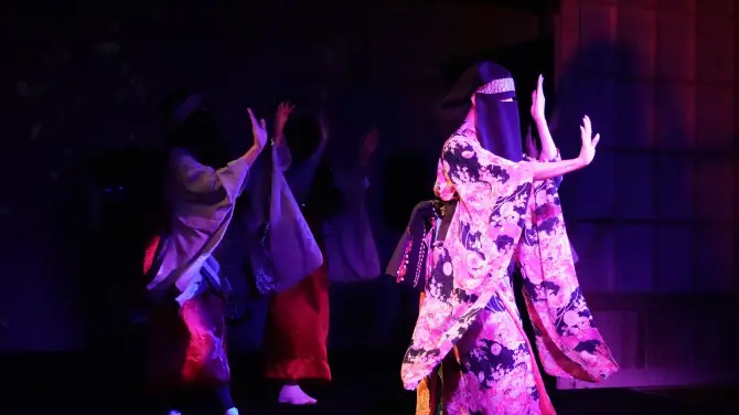 Tokyo Night Japanese Culture Night Show
