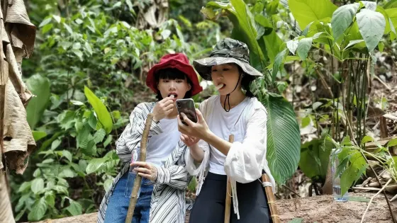 小象雨林