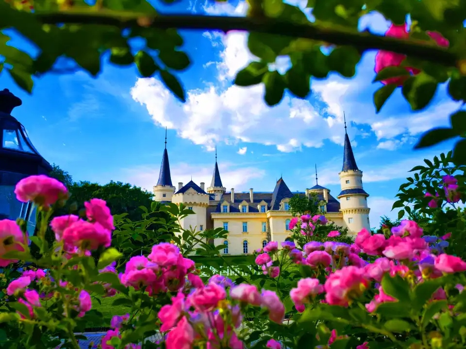 5_Beijing Chateau Changyu Afip Global