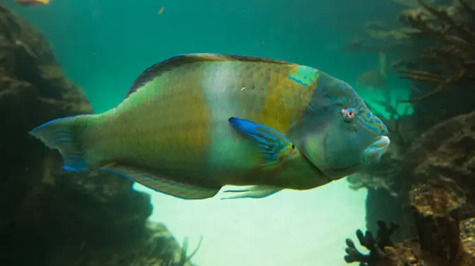 3_New York Aquarium