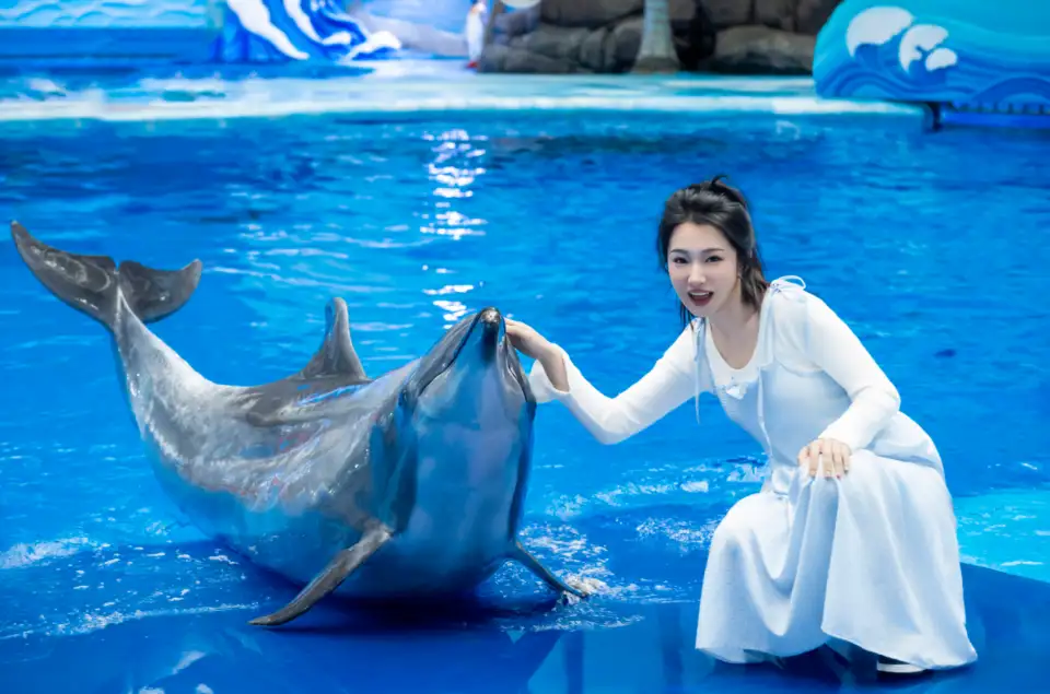 3_Chengdu Polar Ocean  Park