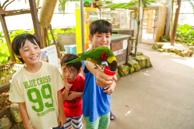 Okinawa Fruits Land Admission E-Ticket＋Mini mango shaved ice