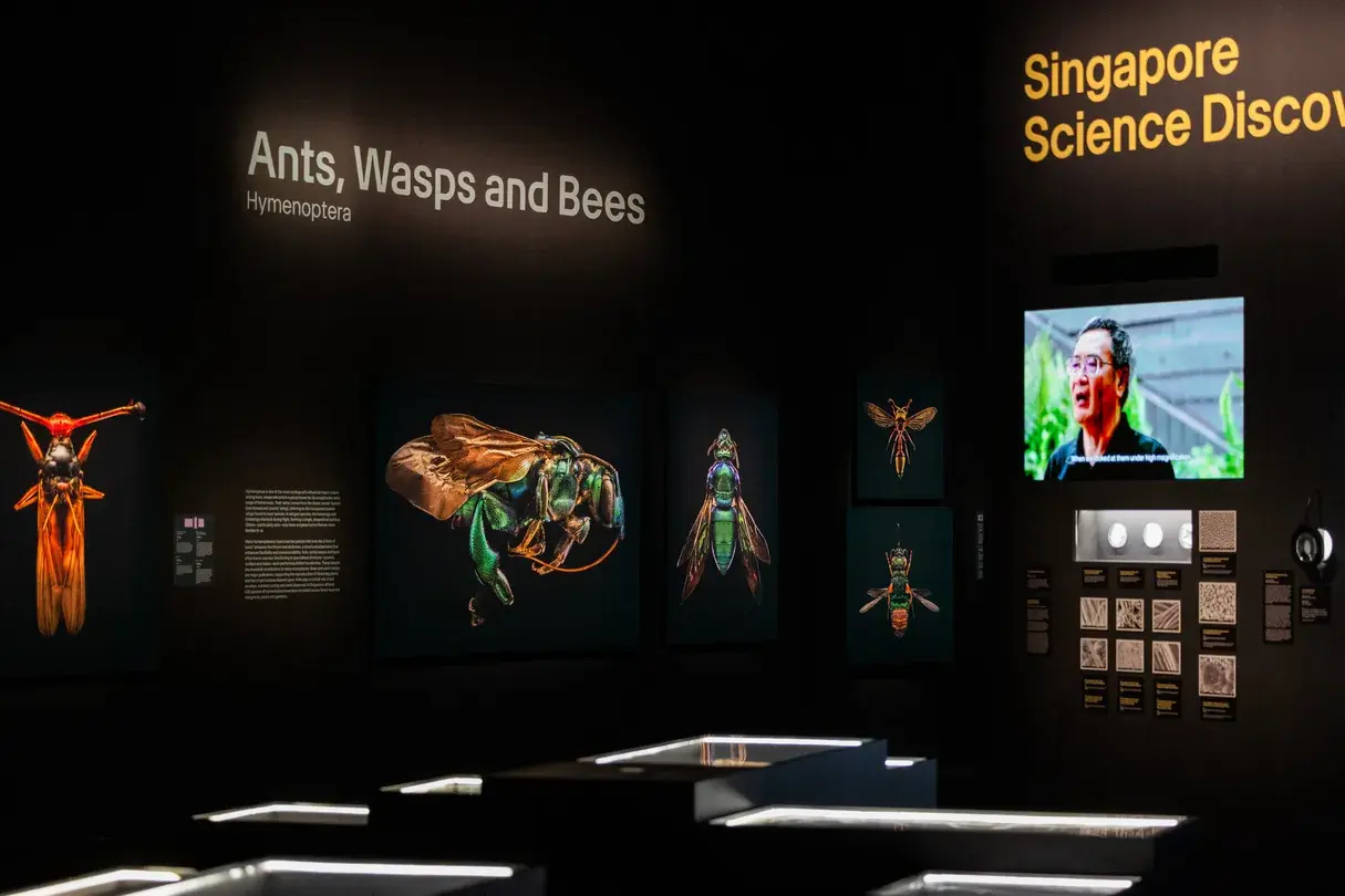 5_ArtScience Museum
