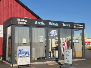 Arctic Whale Tours - Andenes