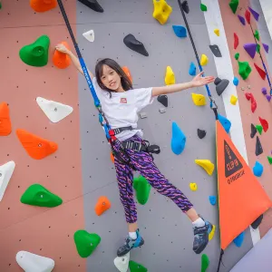 JUST CLIMB