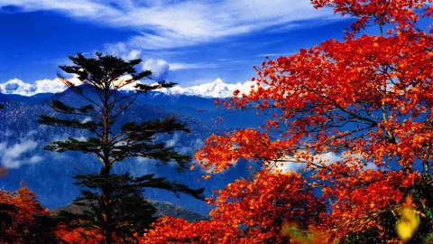 Mount Emei attraction in Leshan