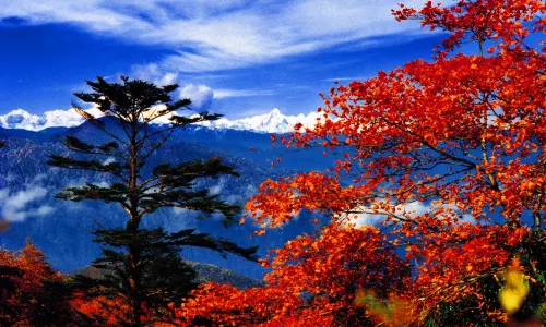 Mount Emei