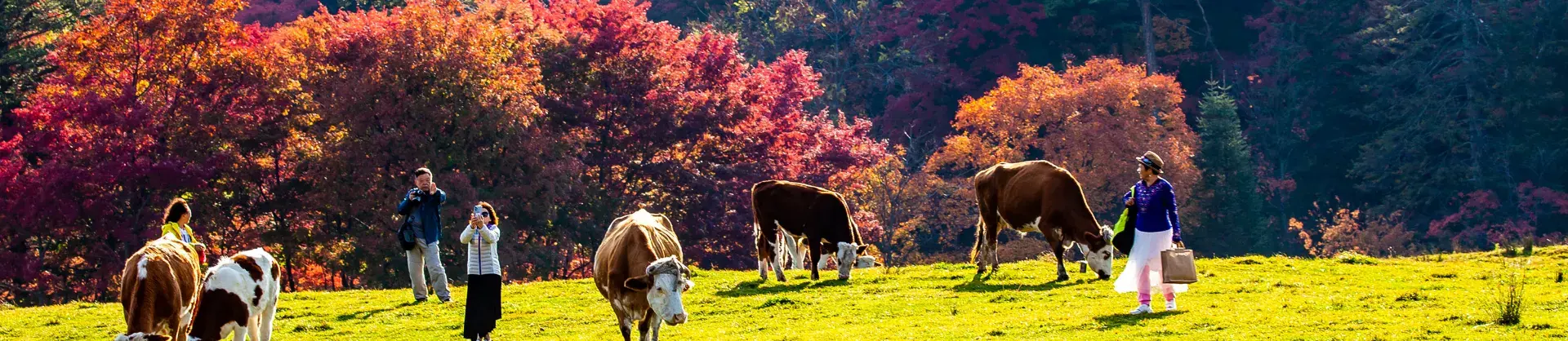 Herbstliche Sehenswürdigkeiten