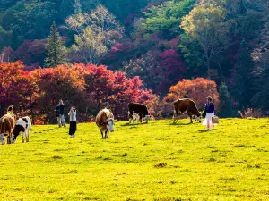 Пейзажная долина в Чанбайшане