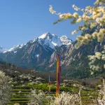 Jiuzhai Beautiful China Resort