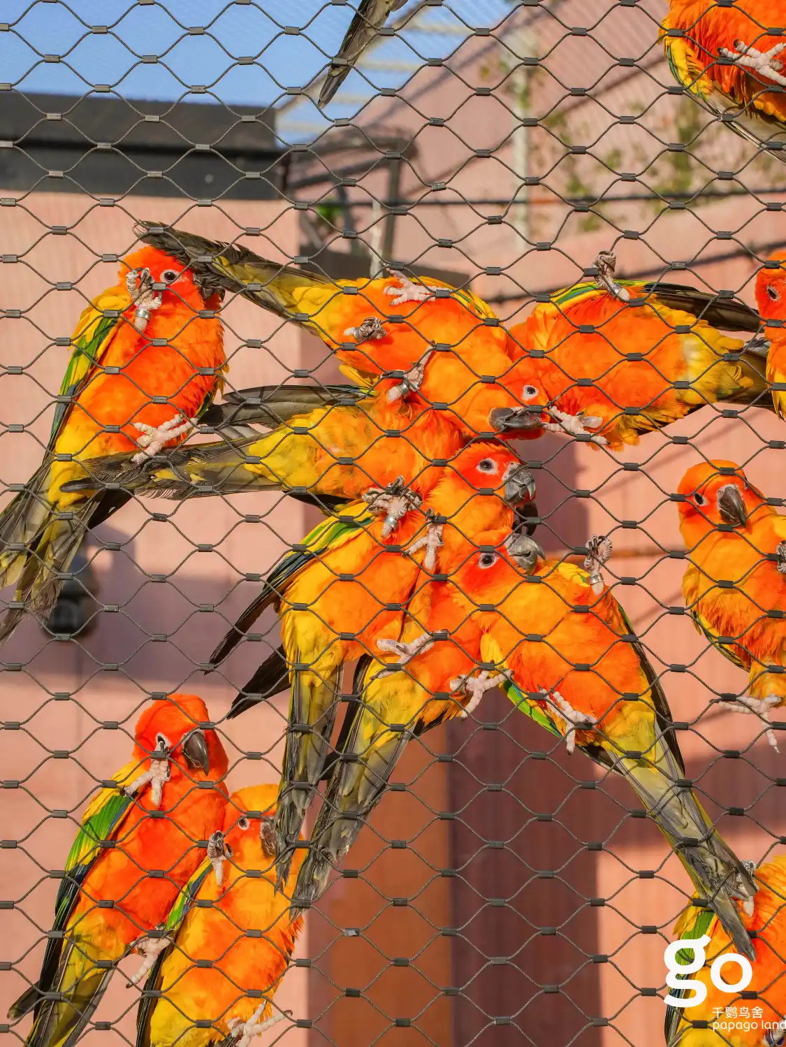 千鸚鳥舎鸚鵡テーマパーク周辺のホテル