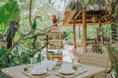 Lombok Wildlife Park