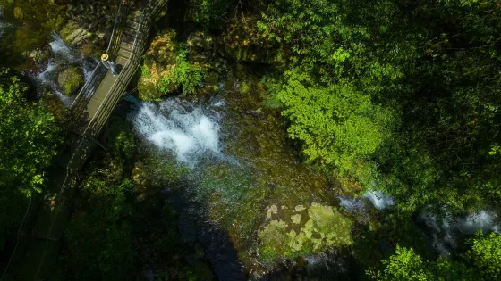 龍蒼溝國家森林公園