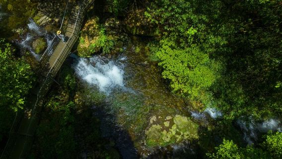 Longcanggou National Forest Park