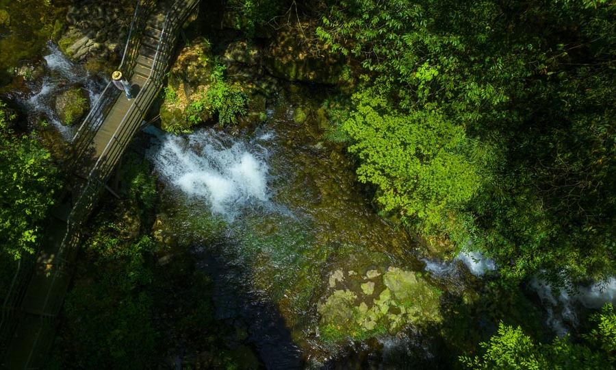 龍蒼溝國家森林公園