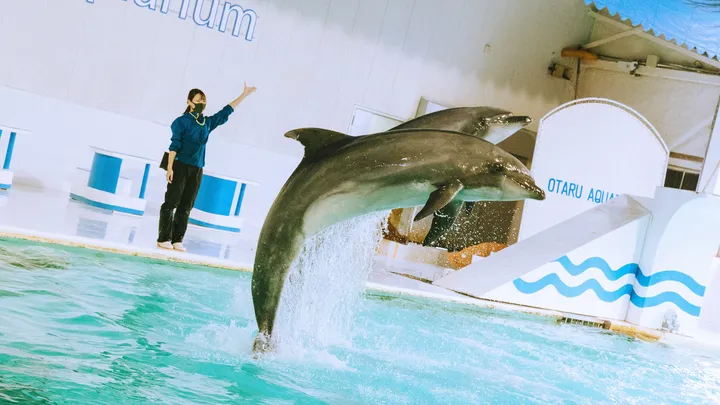 3_おたる水族館