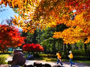 Gupo Mountain Tourist Area