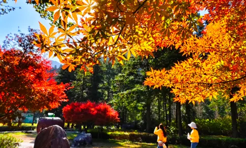 Gupo Mountain Tourist Area
