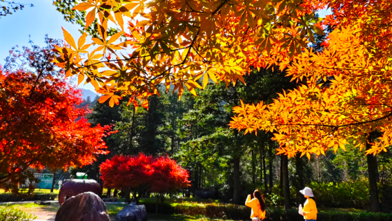 Gupo Mountain Tourist Area